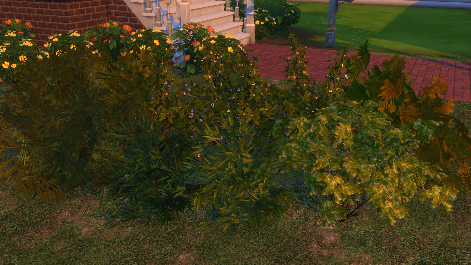 Helensims TS4 Bushes set