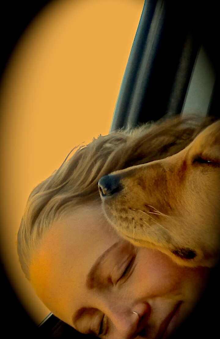 barbbrockdaily Dog vs Human Scent Detectors