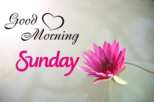 good morning sunday blessings