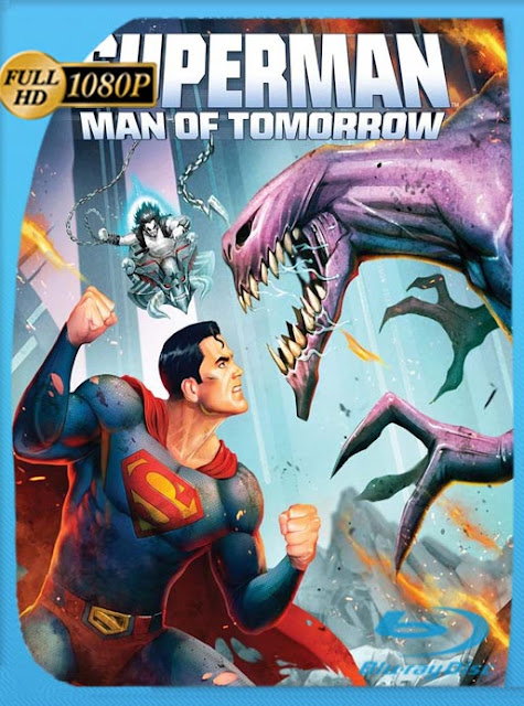 Superman: Hombre del Mañana (Superman Man of Tomorrow) (2020) HD [1080p] Latino [GoogleDrive] SXGO