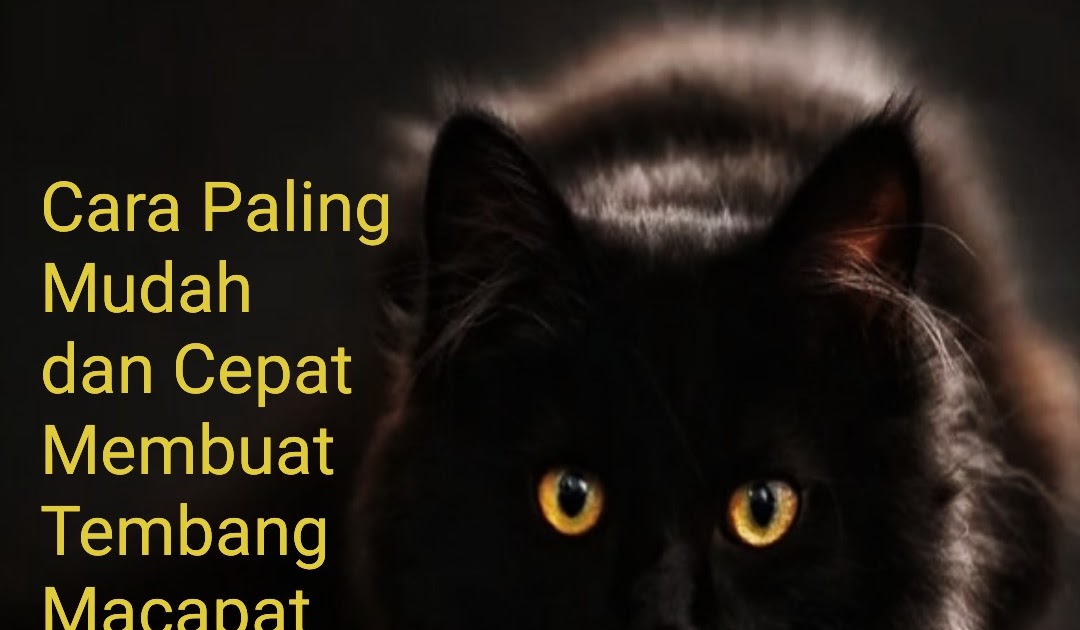 Cara Membuat Tembang Macapat Paling Mudah Beserta Contoh Zona Artikel Baru