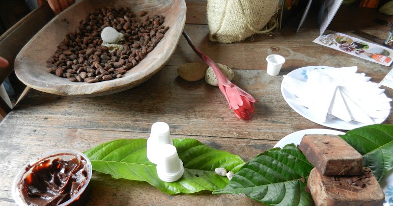 Pachamama Spectrum of Treasures: "Making Chocolate" - transforming the