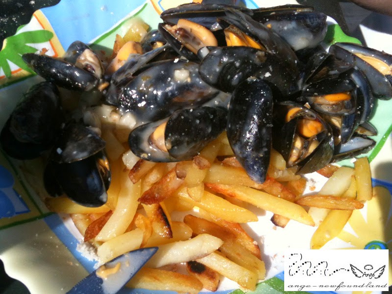 Ange's Blog Moulesfrites maison!