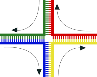 Genetik rekombinasyonda Holliday bağlantısı ara ürününün yapısı. Dört farklı DNA ipliği kırmızı, mavi, yeşil ve sarı olarak renklendirilmiştir.