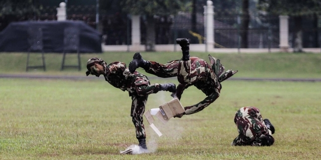 Militer.site