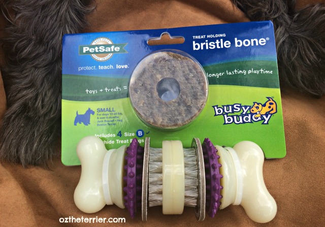 petsafe busy buddy bristle bone dog toy