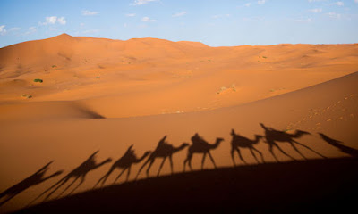 The Sahara desert is green every 20 thousand years planet-today.com