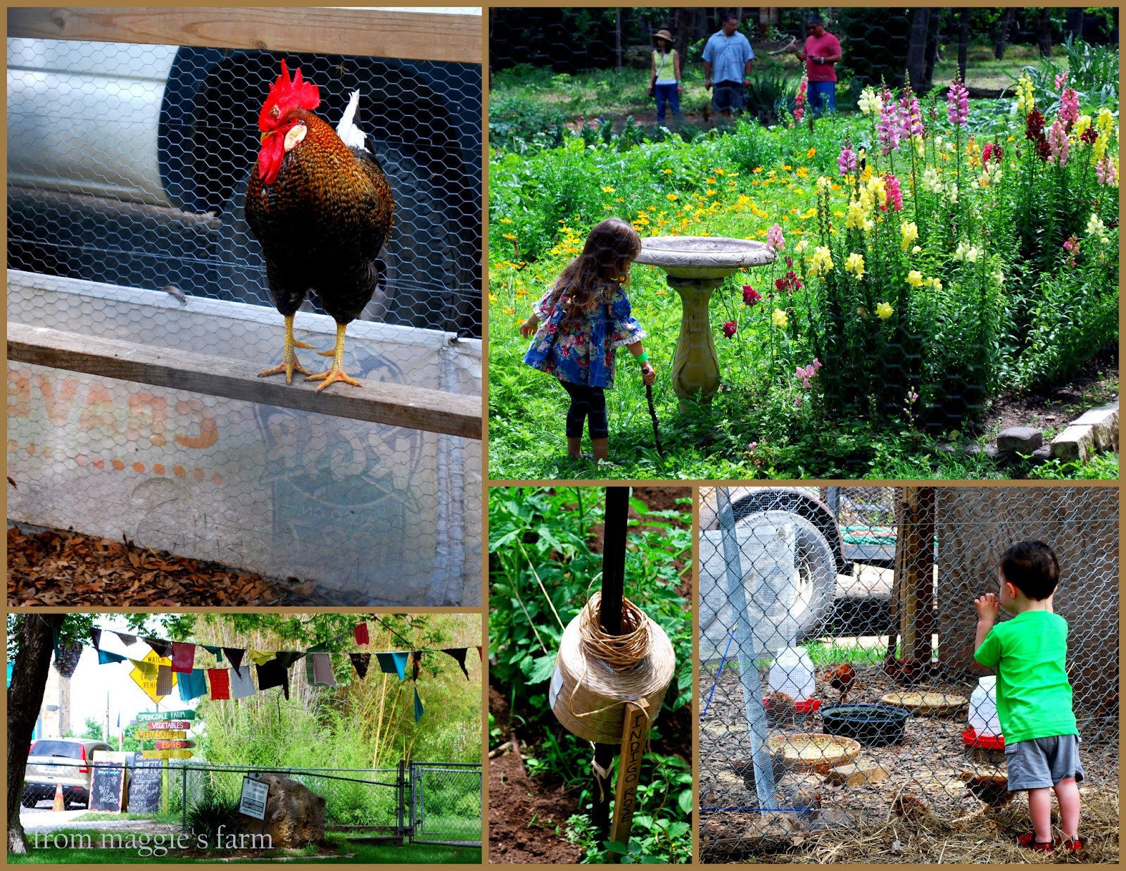 Notes from Maggie's Farm road trip! austin funky chicken coop tour 2012