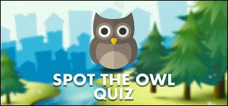 Quiz Diva-Quiz Answers On“Spot the Owl Quiz"