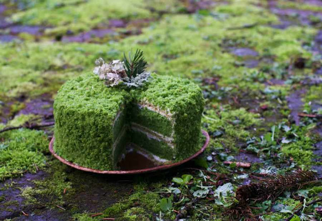 как использовать мох поделки из мха