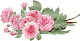 rosas.gif