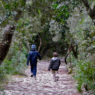 Niños caminan por el bosque. Excursión Esporles - Banyalbufar. Sierra de Tramuntana. Malllorca