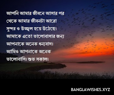 লাভ পিকচার