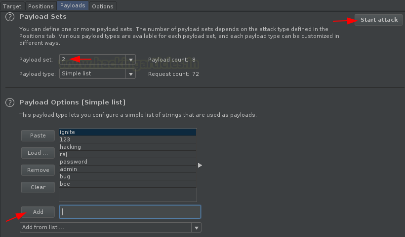 Burp Suite Fuzzing with Intruder