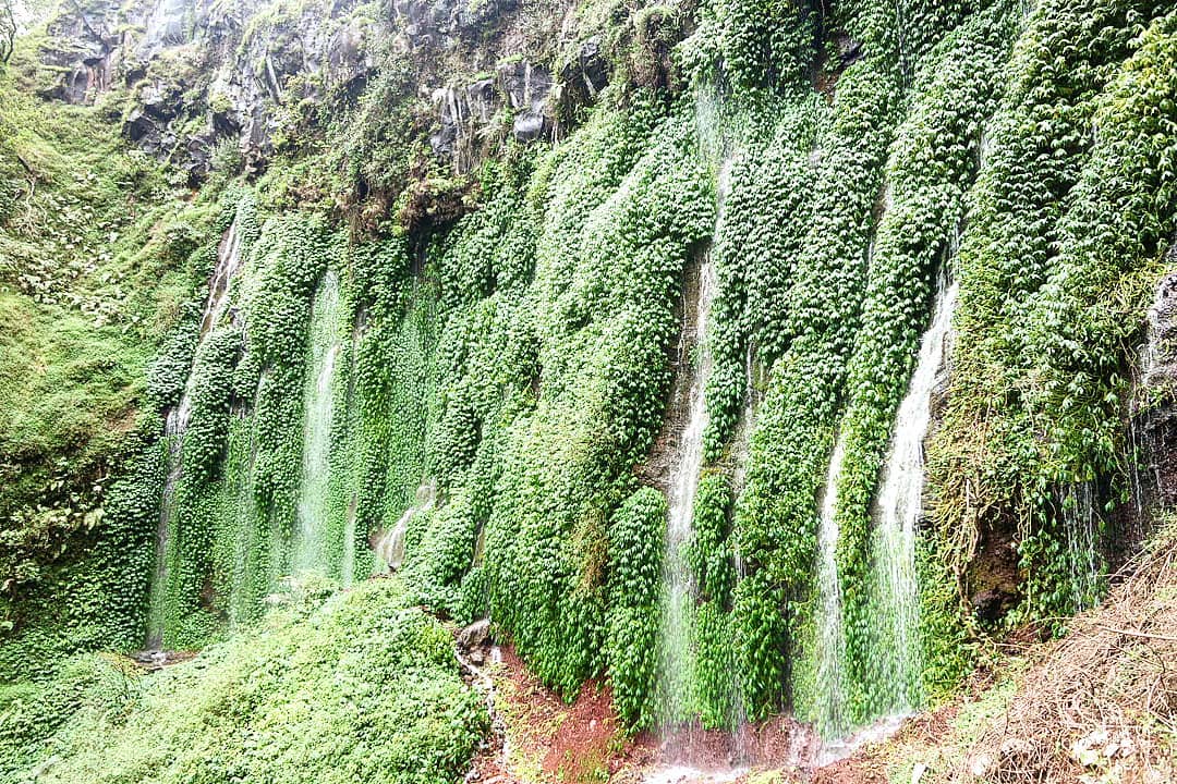 Keindahan Air Terjun Sumber Pitu Pujon Malang, 7 Air Terjun dalam Satu