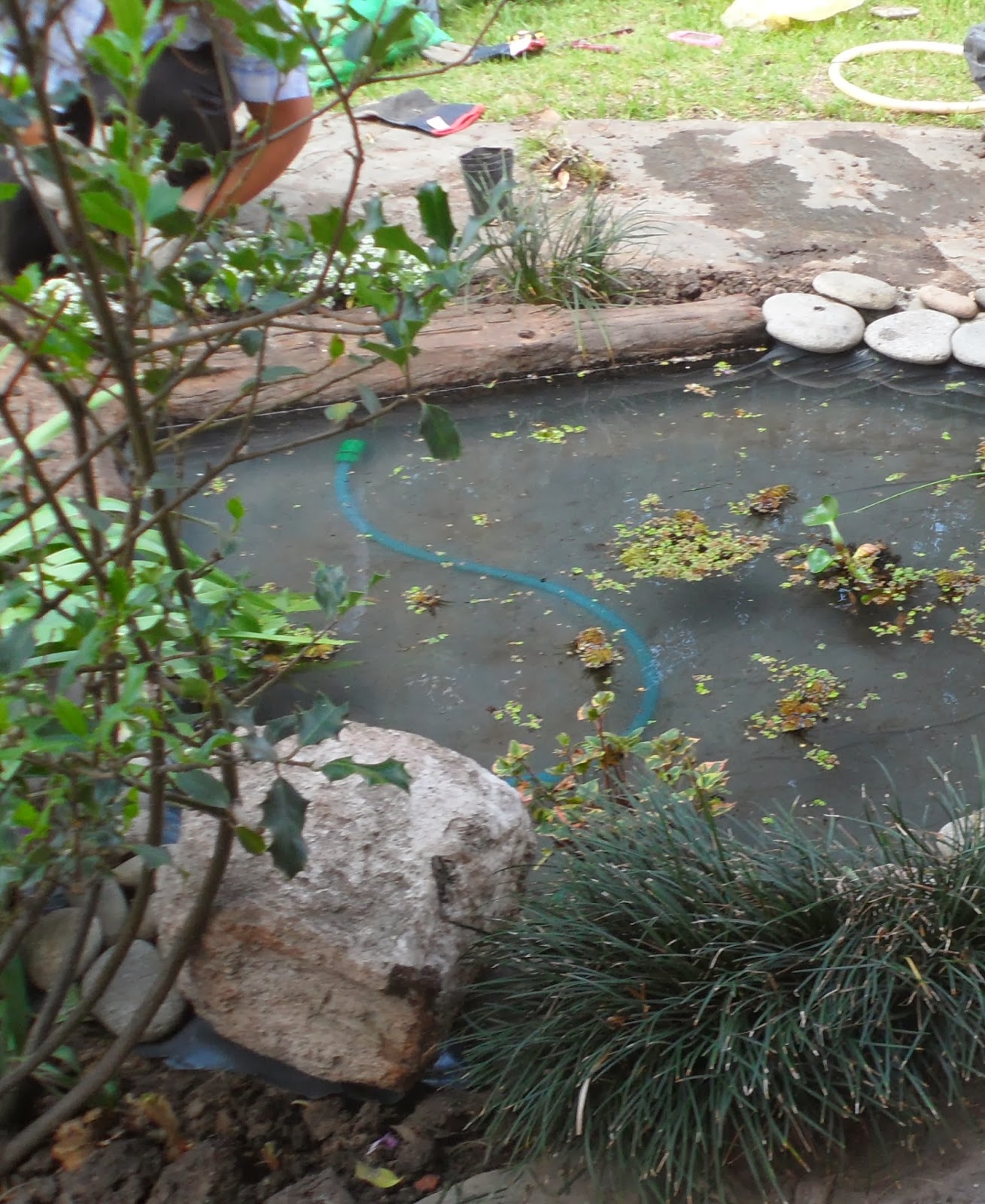 Un estanque para el jardín / Con Sabor a Hogar