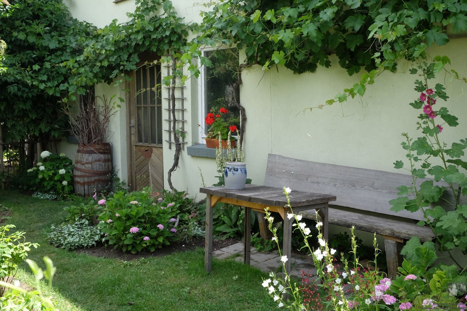 muy privados pecoraro schneider