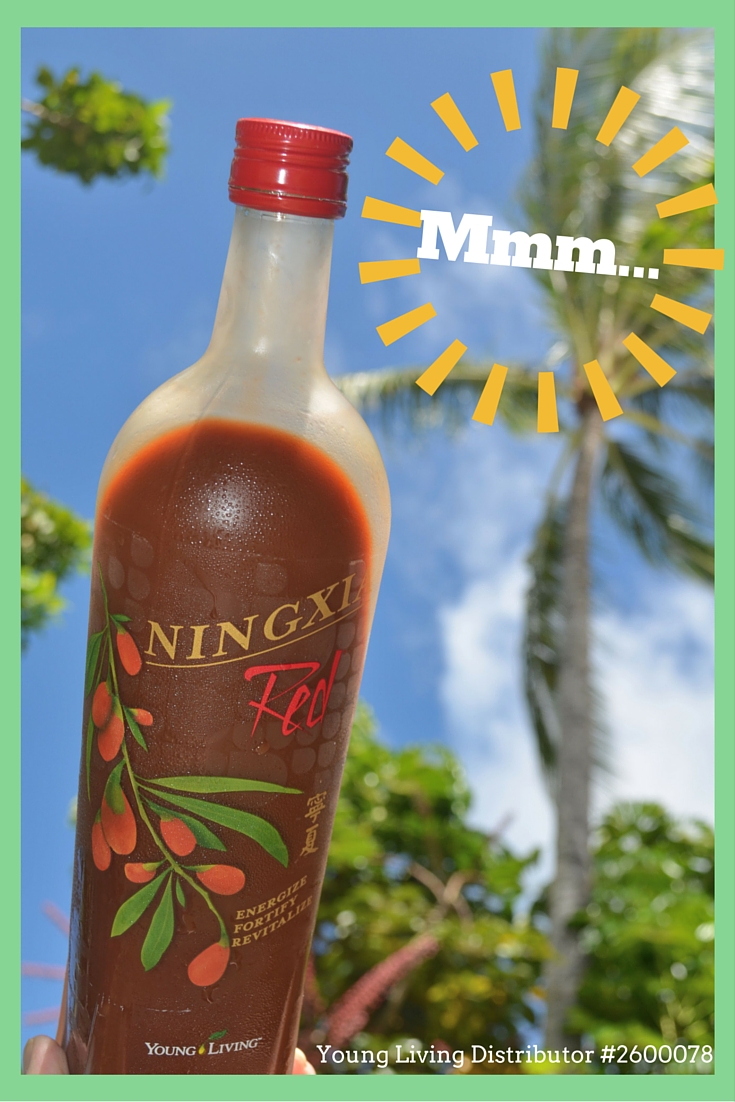 It Really Is This Easy NingXia Red FroYo Fruit Pops