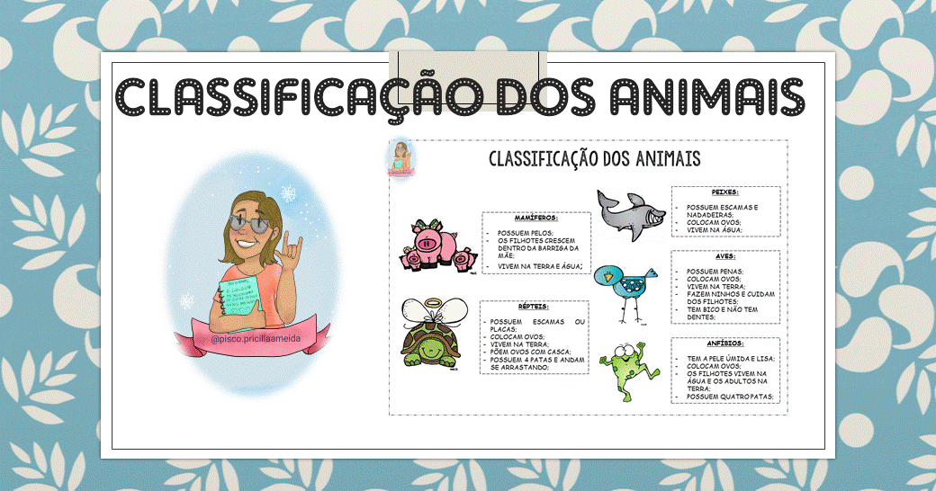 Classificação dos animais