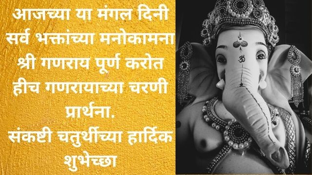 Ganpati Lovers Latest Best Sankashti Chaturthi Wishes In Marathi Hindi And English All obstacles and showers you with bounties. best sankashti chaturthi wishes in