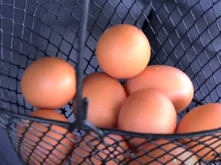 Eggs in Africa.