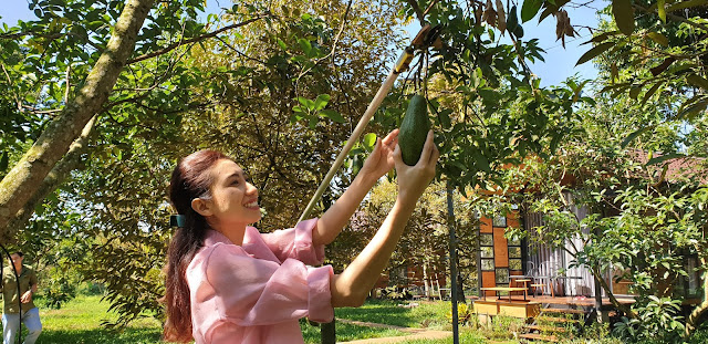 Trái cây đặc sản Đồng Nai