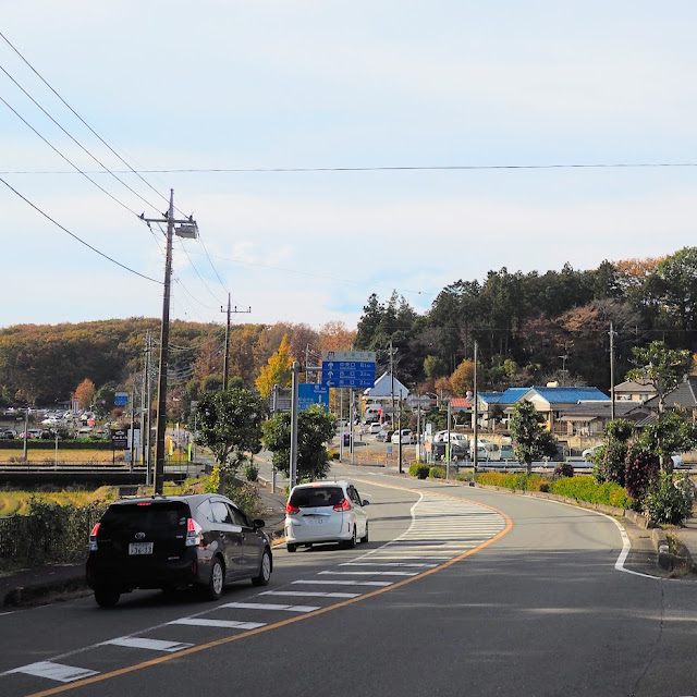 さいたま武蔵丘陵森林公園自転車道
