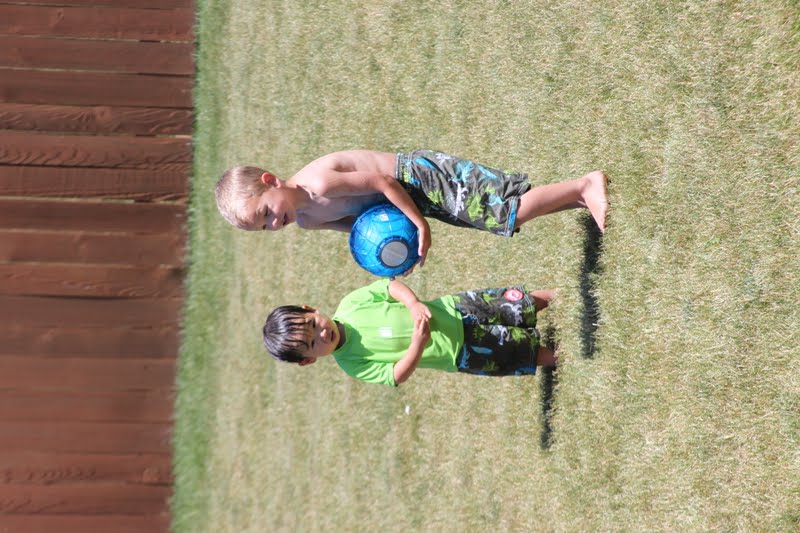 Kara's Creative Place Ice Cream Maker Ball