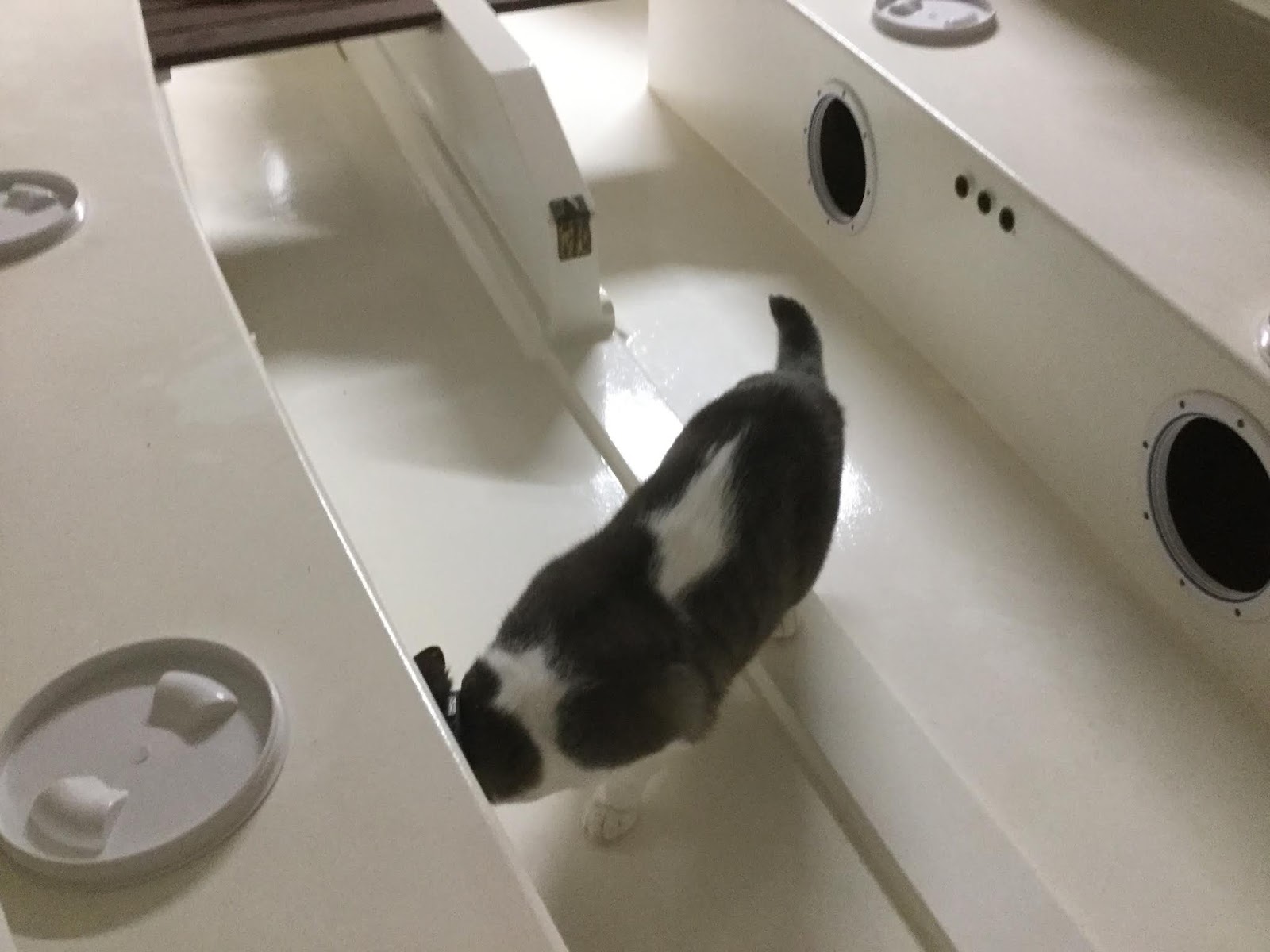 Suzy's Blog Buoyancy chamber inspection.
