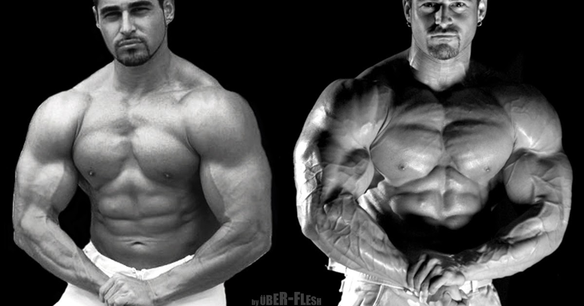 World of Steroid Freaks: The Quest for Ultimate Muscle Mass