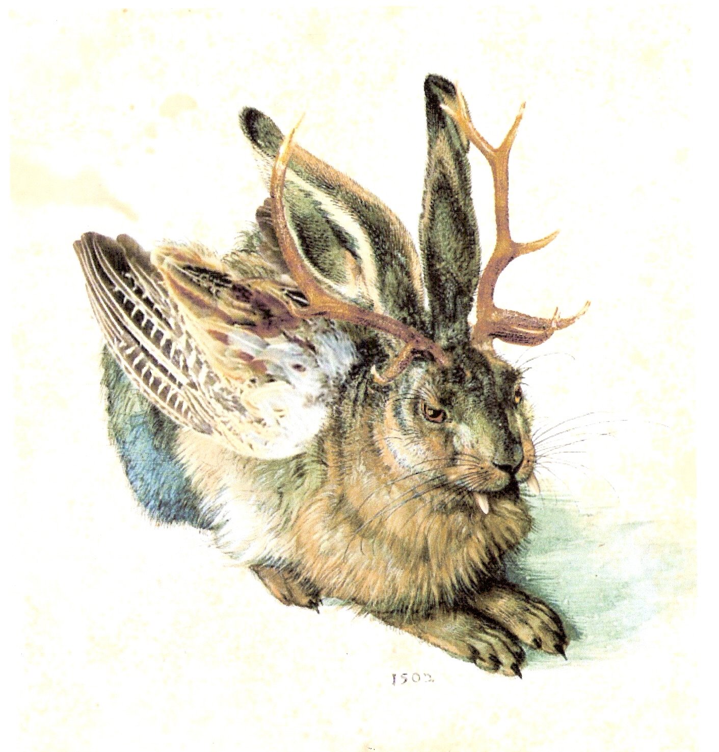 Notes From The Willow Grove Wolpertinger notes-from-the-willow-grove-wolpertinger