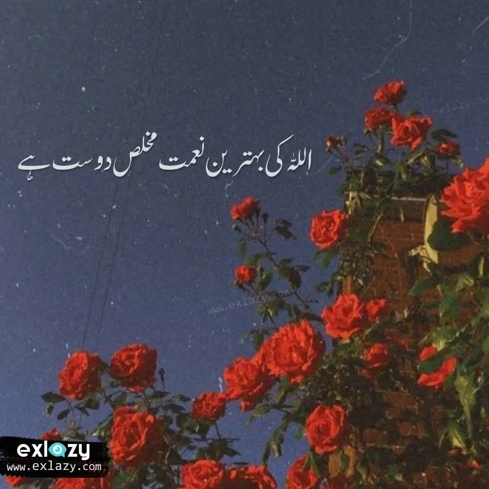 The 20 Best Friendship Quotes in Urdu - Quotes about Dosti