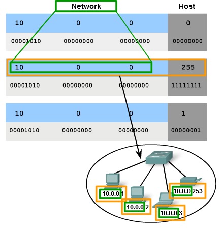 Схема адресации сети. Сетевой префикс. Network prefix length что это. Из скольких бит состоит ipv4 адрес?. Адреса хостов.