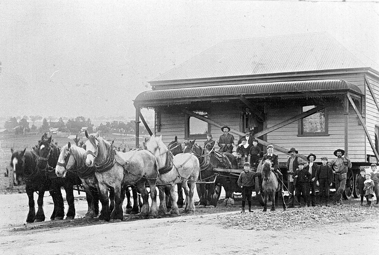 vintage photographs move house horses