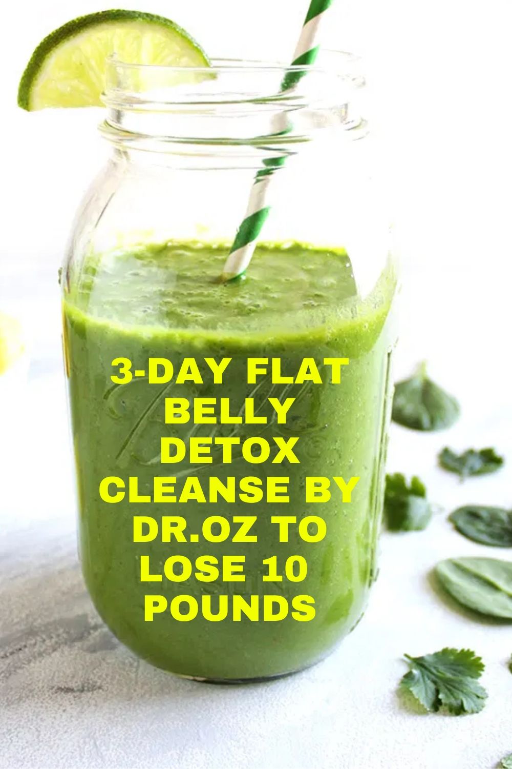 3 Day Flat Belly Detox By Doctor 0z To Lose 10 Pounds Hello Healthy!!