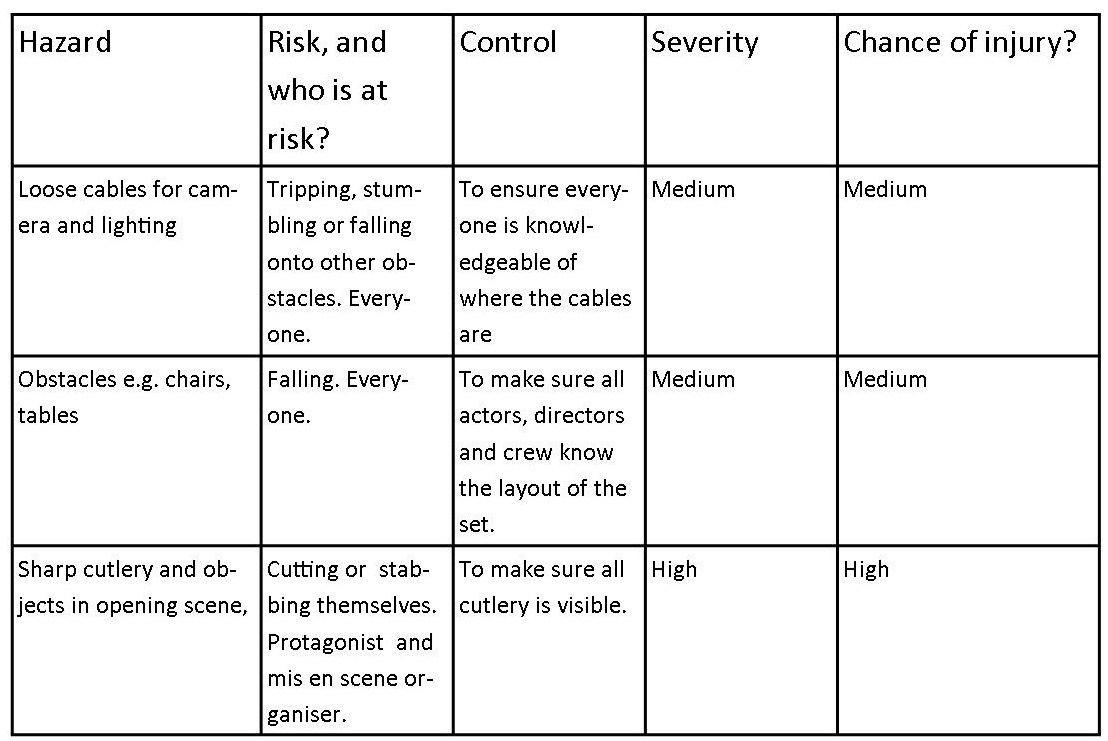 Film Shoot Risk Assessment at Lucille Minor blog