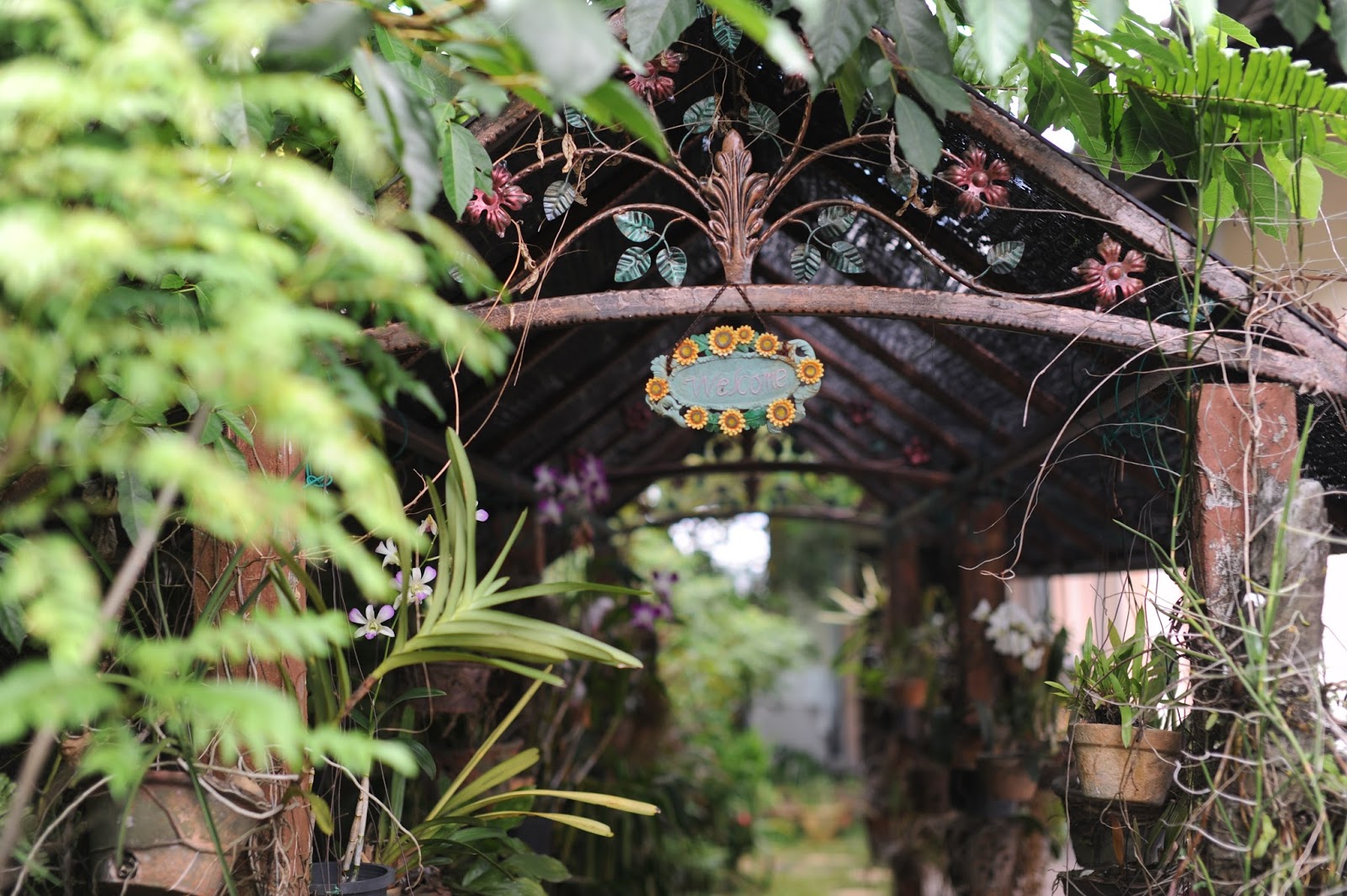 Info Terkini 27 Rak Besi Orkid