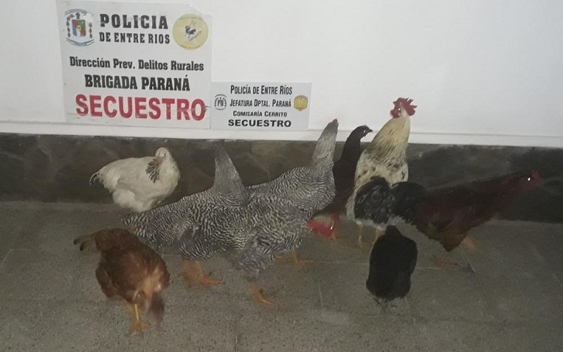 WhatsApp%2BImage%2B2021-05-08%2Bat%2B21.19.02