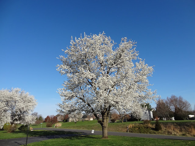 Live and Learn Toss and Turn: Is that so? Live and Learn Toss and Turn: Is that so?