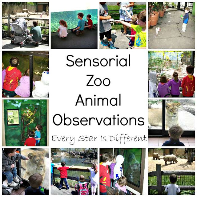 Sensorial Animal Observations and Zoo Scavenger Hunt