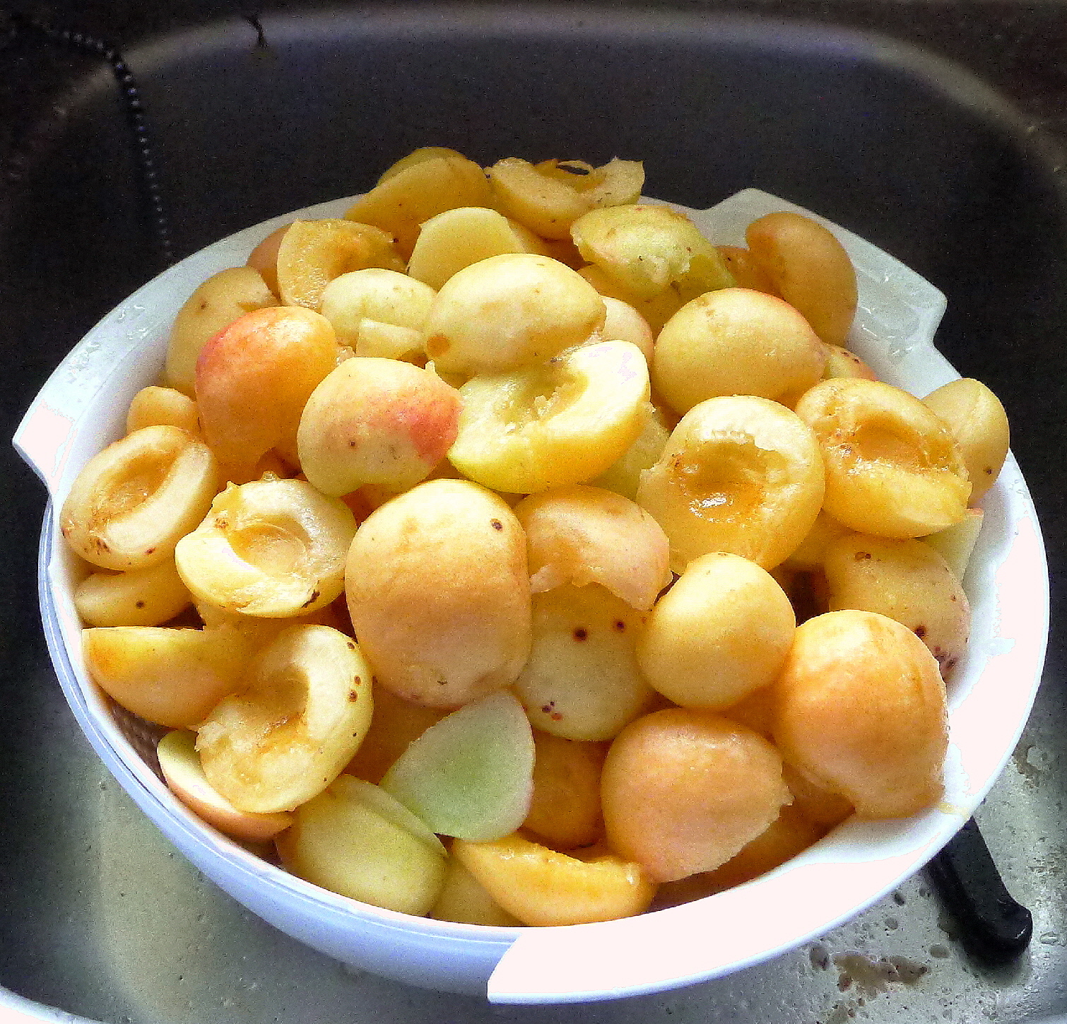 MY KITCHEN IN SPAIN THE APRICOTS ARE FALLING!