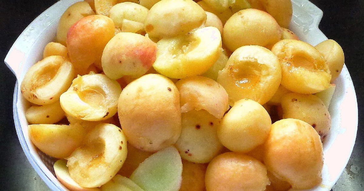 MY KITCHEN IN SPAIN THE APRICOTS ARE FALLING!