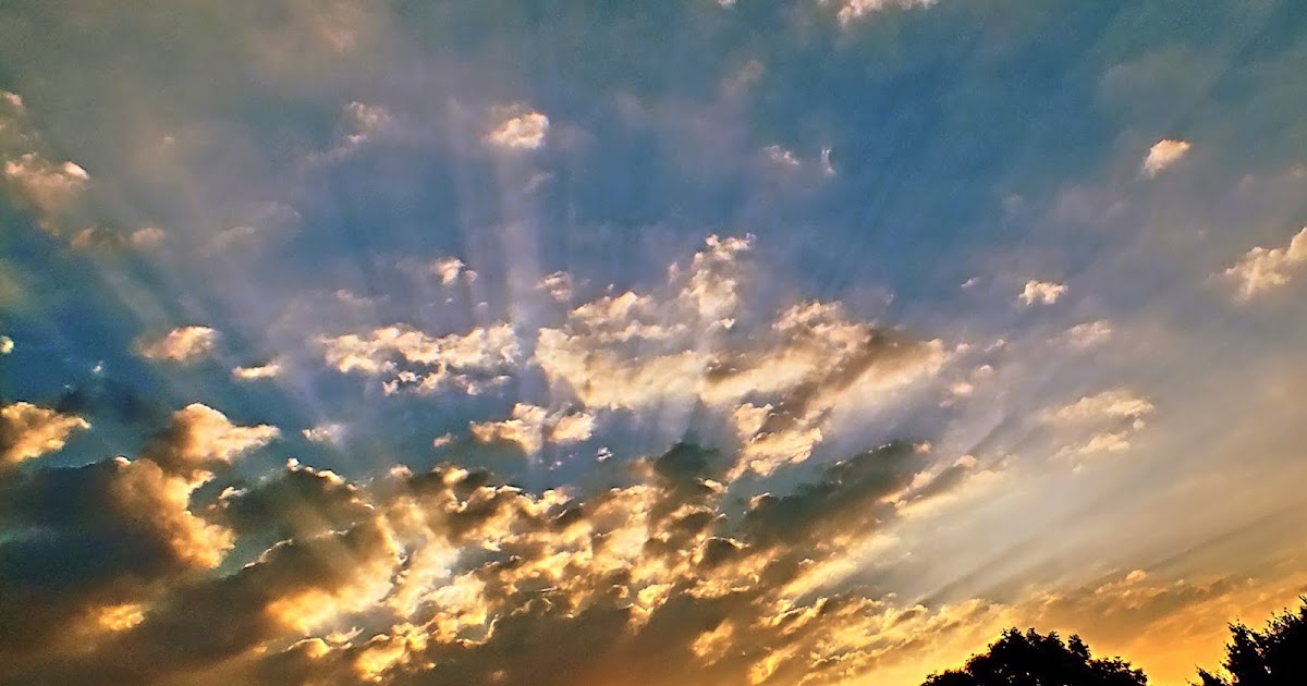 Morgen Bernauer Lokaltour Infos Sonderfahrplan