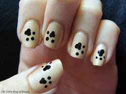 paw prints nail sand cat paws