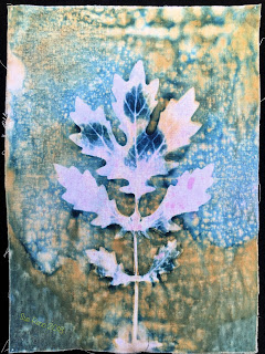 Wet cyanotype_Sue Reno_Image 341