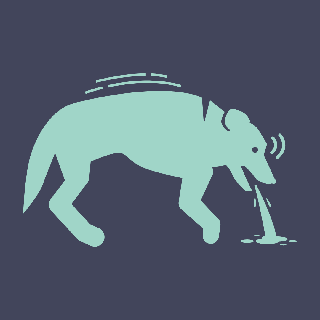 Parvo Virus in DOGS What Every Dog owner needs to know about this