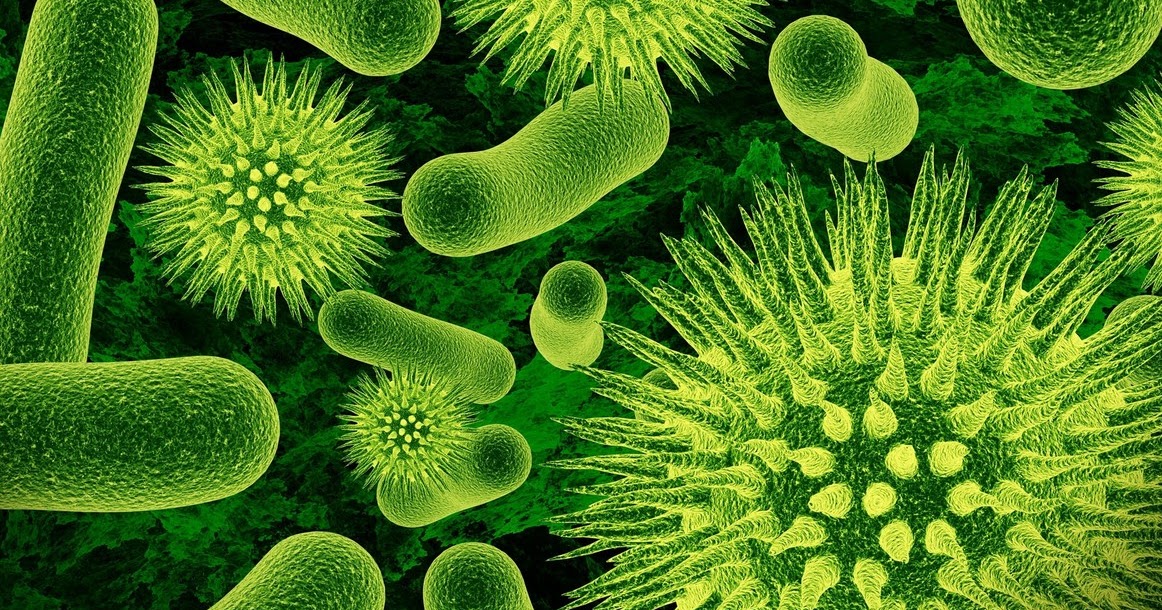 16 Penyakit yang Disebabkan oleh Virus, Bakteri, Protozoa dan Metazoa