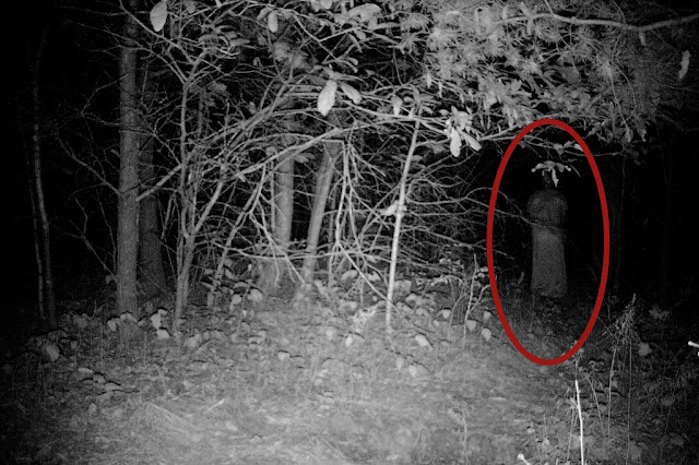 Creepy Ghost in the forest at night caught on trailcam. Ghost caught on CCTV.