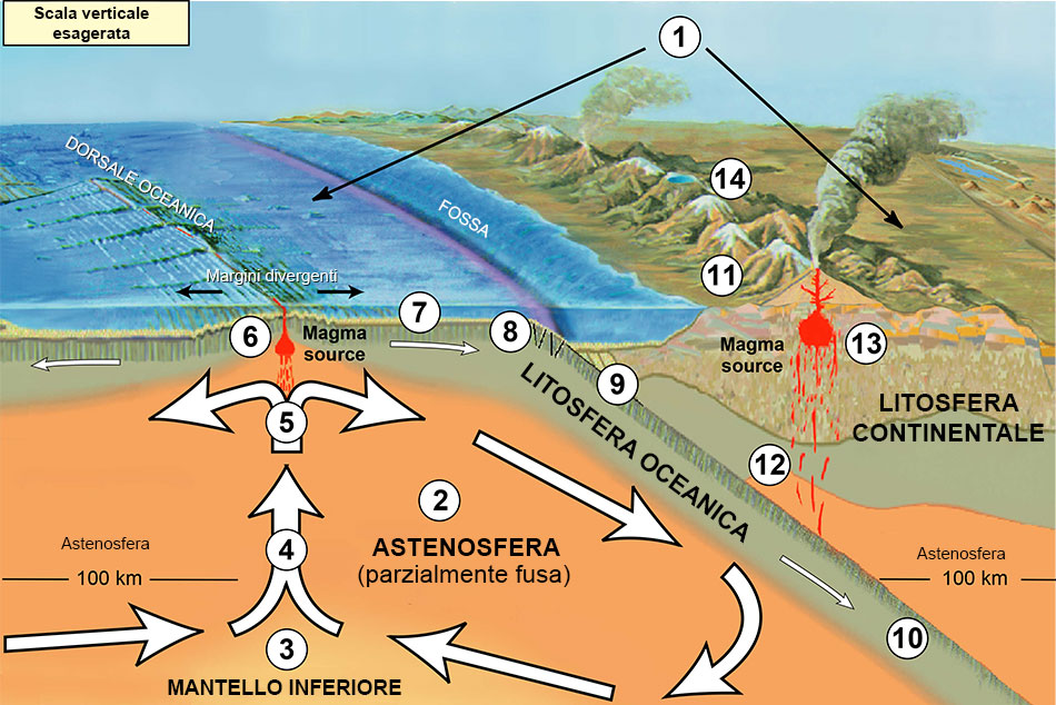 MAGISTER PAULUS La tettonica a zolle e la deriva dei continenti