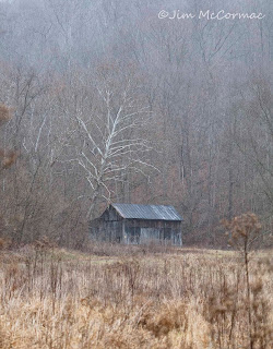 Ohio Birds And Biodiversity Old Barns Of Two Flavors